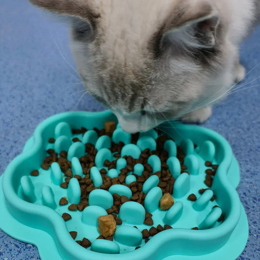 Premium Anti-Gulping Slow Feeder Bowl for Dogs & Cats