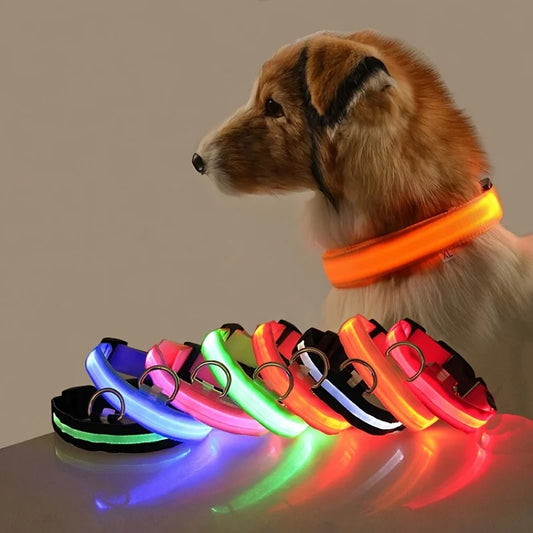 Premium Glowing LED Safety Pet Collar & Leash